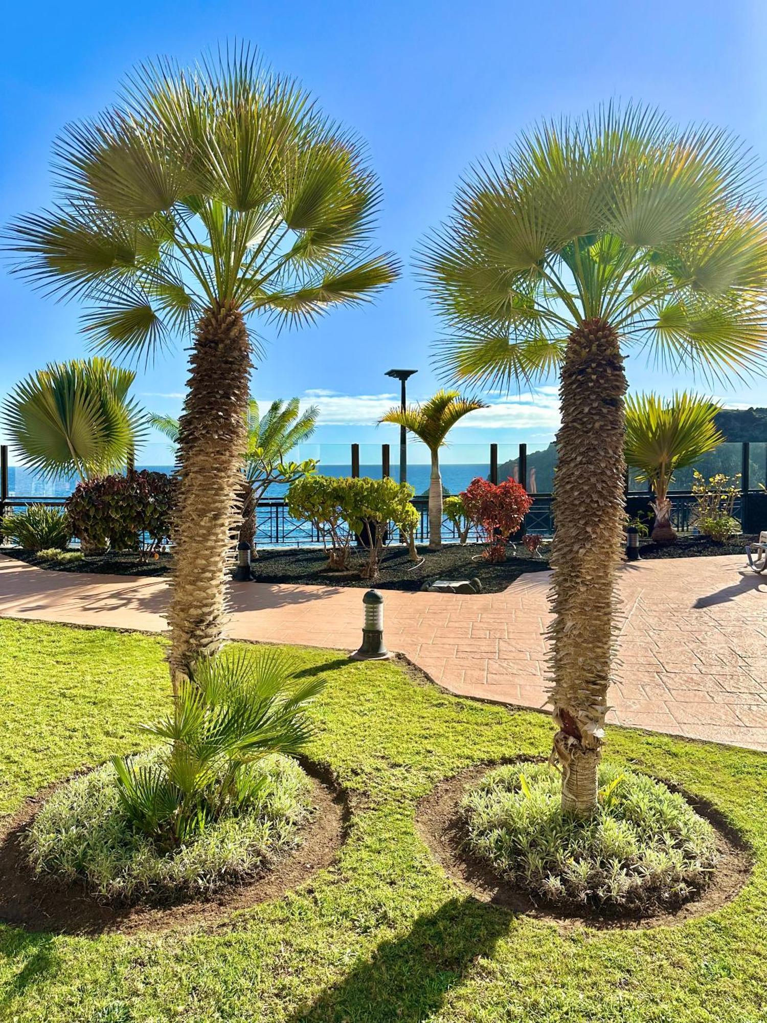 El Nautico Apartment San Miguel de Abona Exterior photo
